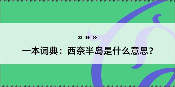 一本词典：西奈半岛是什么意思？