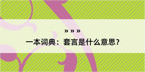 一本词典：套言是什么意思？