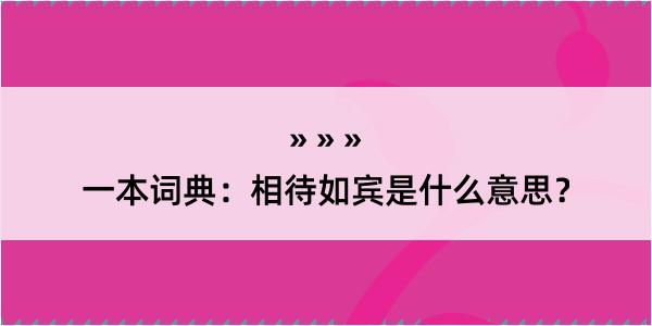 一本词典：相待如宾是什么意思？