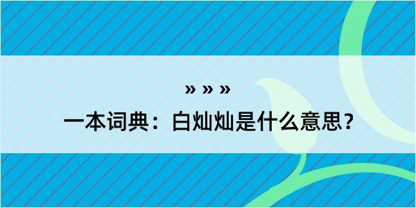 一本词典：白灿灿是什么意思？