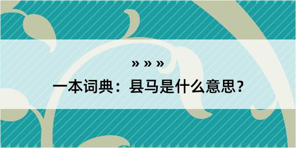 一本词典：县马是什么意思？