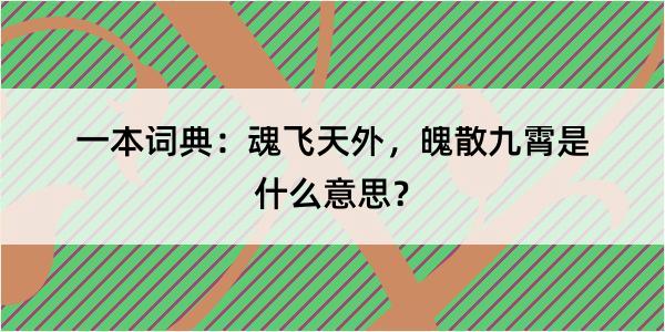 一本词典：魂飞天外，魄散九霄是什么意思？