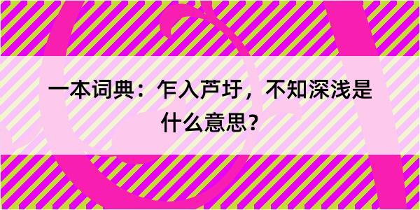 一本词典：乍入芦圩，不知深浅是什么意思？