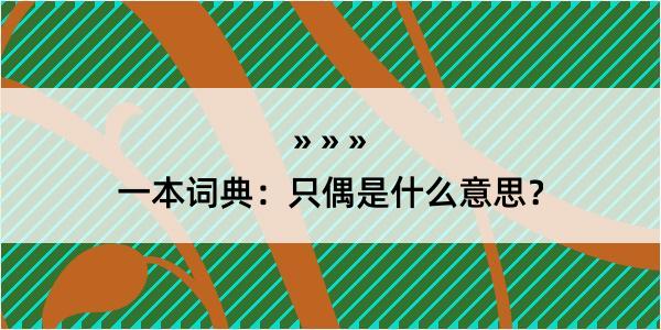 一本词典：只偶是什么意思？