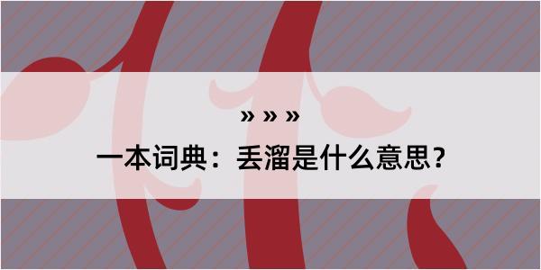 一本词典：丢溜是什么意思？