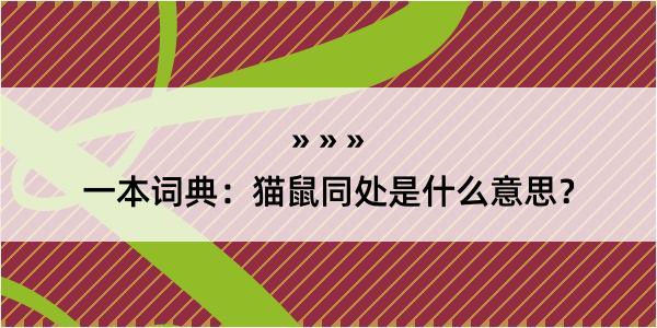 一本词典：猫鼠同处是什么意思？