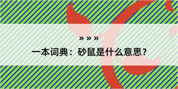 一本词典：砂鼠是什么意思？