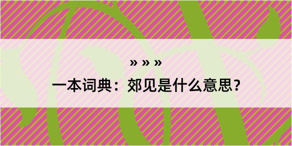 一本词典：郊见是什么意思？