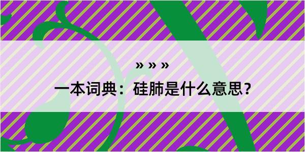 一本词典：硅肺是什么意思？