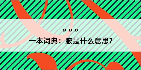 一本词典：腋是什么意思？