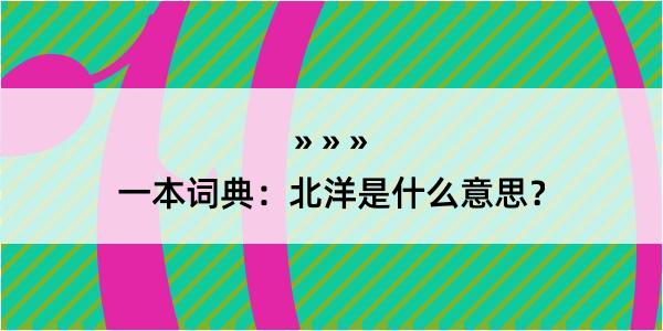 一本词典：北洋是什么意思？