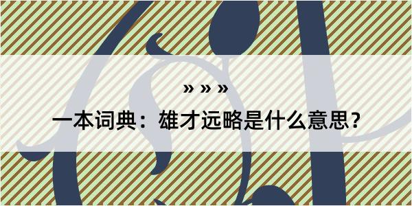 一本词典：雄才远略是什么意思？