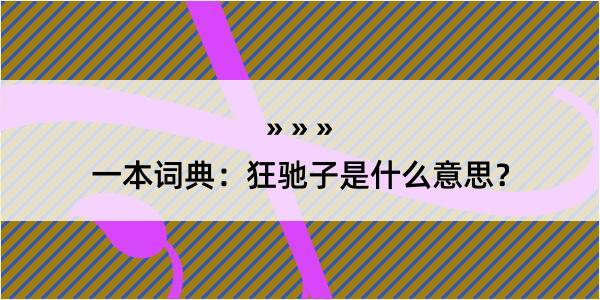 一本词典：狂驰子是什么意思？