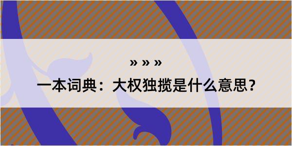 一本词典：大权独揽是什么意思？