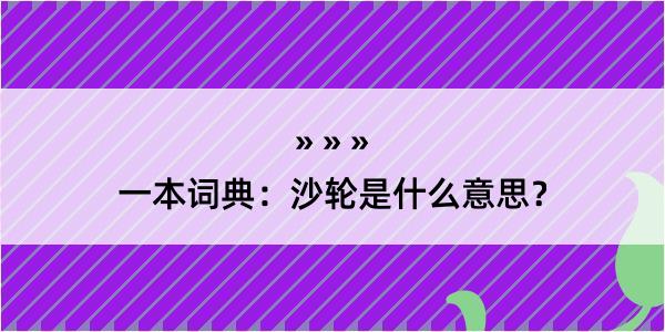 一本词典：沙轮是什么意思？