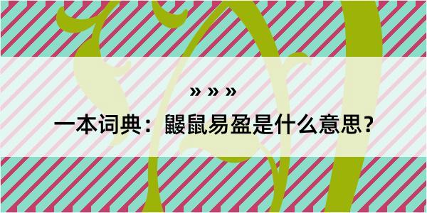 一本词典：鼹鼠易盈是什么意思？