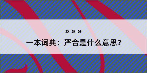 一本词典：严合是什么意思？