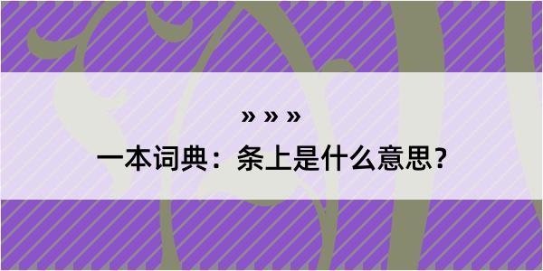 一本词典：条上是什么意思？