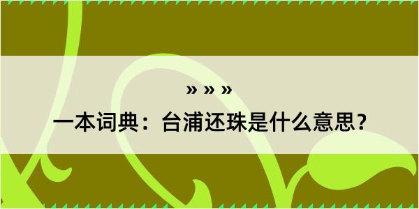 一本词典：台浦还珠是什么意思？