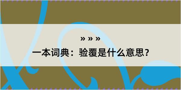 一本词典：验覆是什么意思？