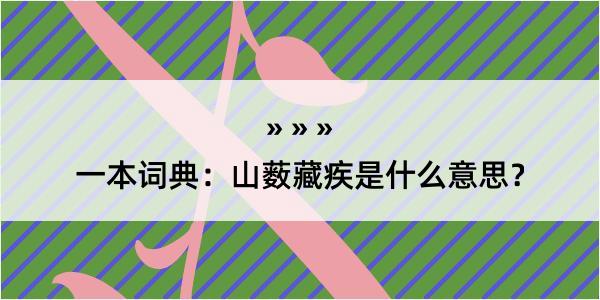 一本词典：山薮藏疾是什么意思？