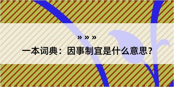 一本词典：因事制宜是什么意思？