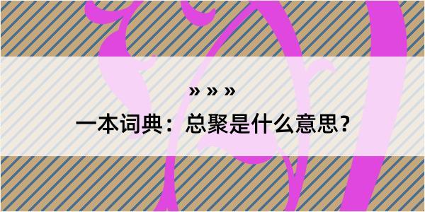 一本词典：总聚是什么意思？