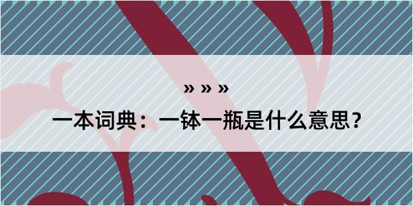 一本词典：一钵一瓶是什么意思？