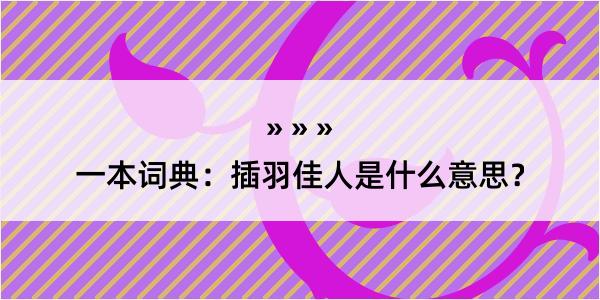 一本词典：插羽佳人是什么意思？