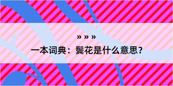 一本词典：鬓花是什么意思？