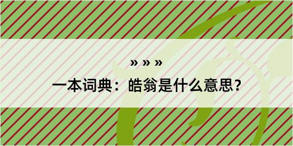 一本词典：皓翁是什么意思？