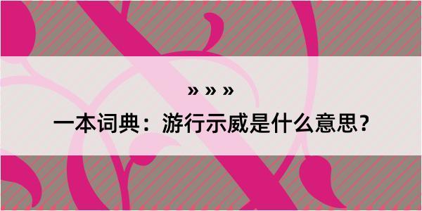 一本词典：游行示威是什么意思？