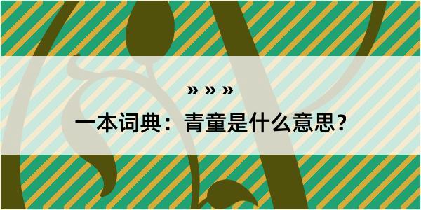 一本词典：青童是什么意思？