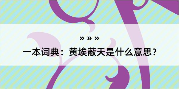 一本词典：黄埃蔽天是什么意思？