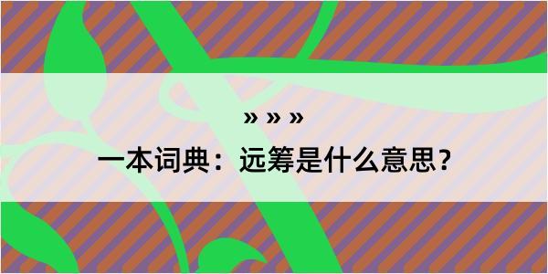 一本词典：远筹是什么意思？