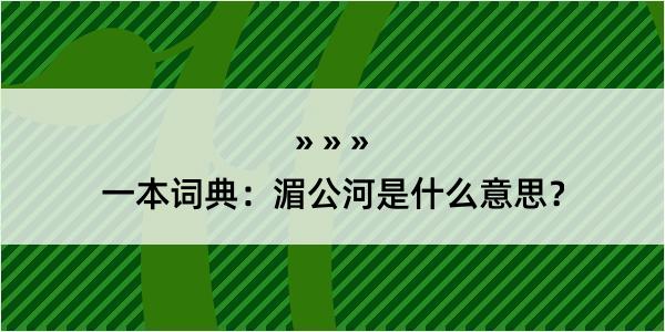 一本词典：湄公河是什么意思？