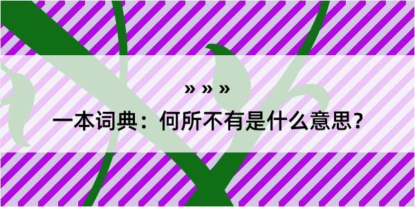 一本词典：何所不有是什么意思？