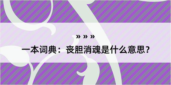 一本词典：丧胆消魂是什么意思？