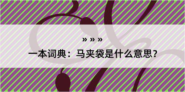 一本词典：马夹袋是什么意思？