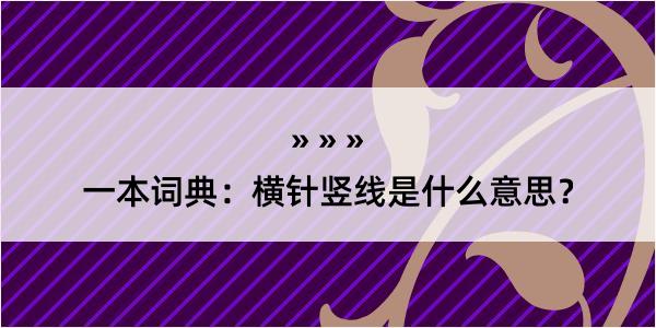 一本词典：横针竖线是什么意思？