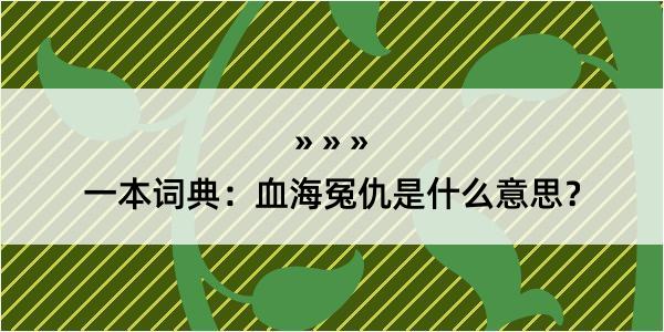 一本词典：血海冤仇是什么意思？