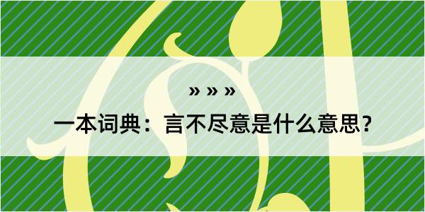 一本词典：言不尽意是什么意思？