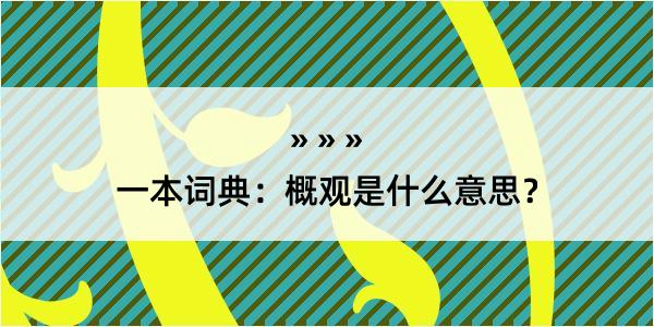 一本词典：概观是什么意思？