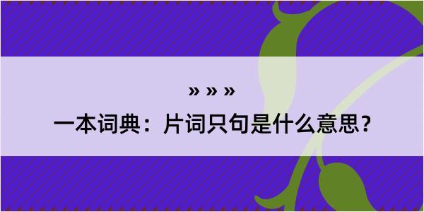 一本词典：片词只句是什么意思？