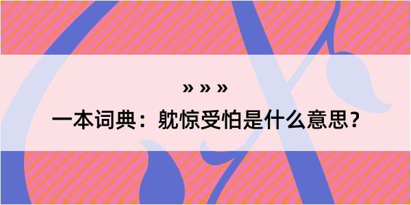 一本词典：躭惊受怕是什么意思？