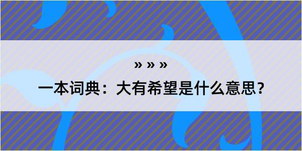 一本词典：大有希望是什么意思？