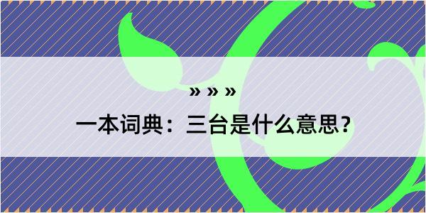 一本词典：三台是什么意思？