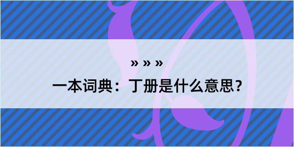 一本词典：丁册是什么意思？