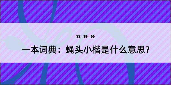 一本词典：蝇头小楷是什么意思？