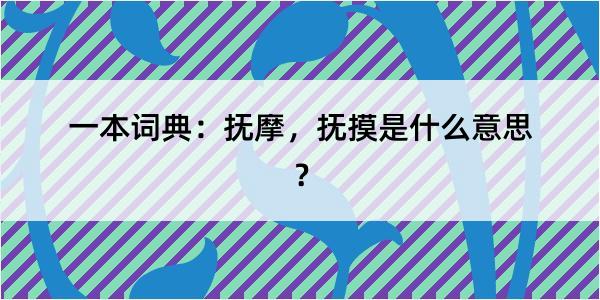 一本词典：抚摩，抚摸是什么意思？